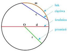 Zdjęcie przedstawia koło i zaznaczony łuk z cięciwą, promieniem i średnicą
