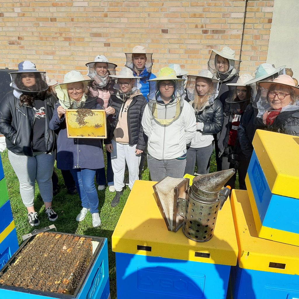 Zdjęcie przedstawia uczniów i nauczycielki przy ulach z pszczołami.